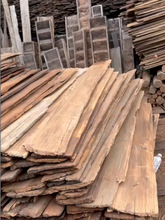 FɼľľƬT^TLľ⠝bo