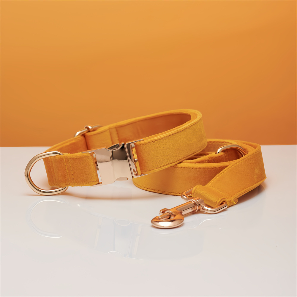 Collar para perros, grabado, perro pequeño anti-pérdida, salir a pasear al perro, correa para el perro, correa para el collar, collar para perros medianos y grandes, cuello de Corgi