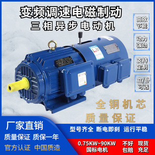 YVP/YVFEJ׃�l�{��늴��Ƅ�0.75/1.5/3/4/7.5KW-90ǧ������늙C