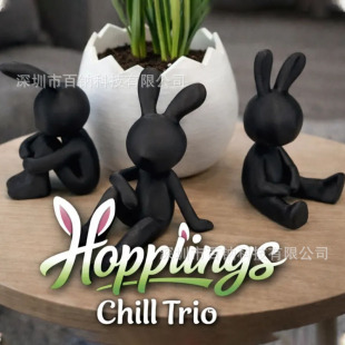 �羳��Ʒ���N Easter Hopping Buddies 3D��ӡ�ͻ�����û��