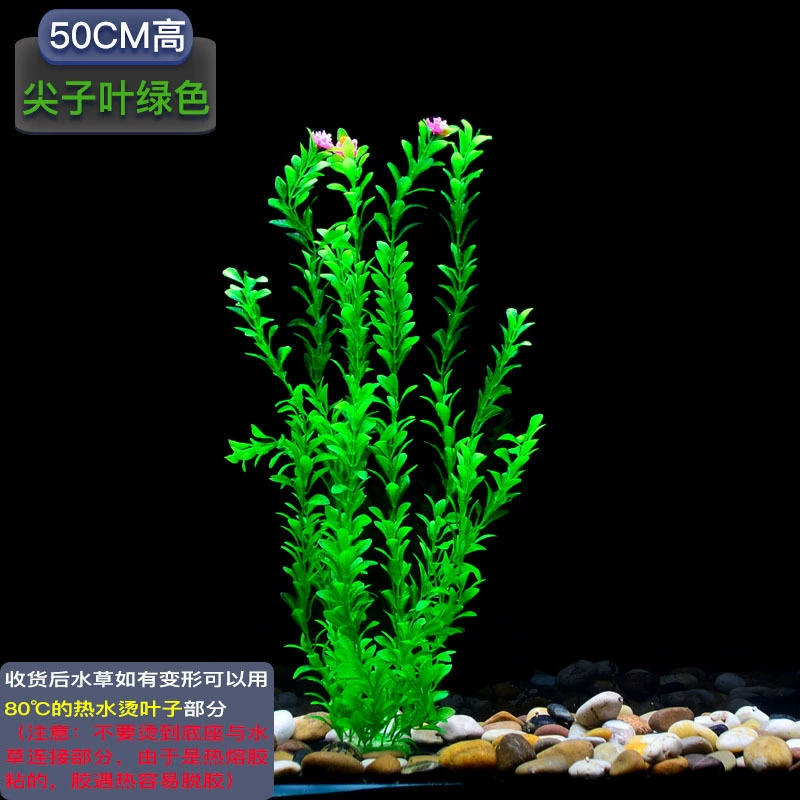 Aquarium, soft plastic green aquatic plants