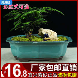 宜兴紫砂花盆多肉桌面花卉绿植盆器陶瓷绿植透气简约釉盆