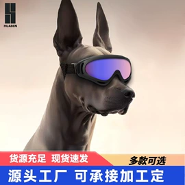骑行眼镜;防弹眼镜;滑雪镜
