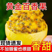黄金百香果广西黄色皮鸡蛋果新鲜原浆水果泡水喝整箱货源批发