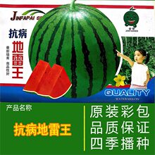 ϷNӲ˷NӴN߮asНhϷNӵͥԺ