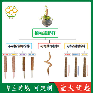 Cross-border Hot Sale Coconut Palm Stick Gold Line Climbing Vine Column Green Rose Plant Climbing Rod Moss Curved Stick Gardening Pillar Factory