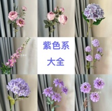 ��ɫϵ��c���滨��Y��·����픲廨�Ƶ�ӭ�e���T�b��Ż��ٻ�
