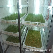 全自动萝卜苗发芽机 中型大型多功能育苗设备 现货自动控温芽苗机