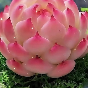 mõӰt߅ϵ߅ֲkֱ̨ܻl