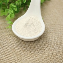 百合粉 蔬菜粉 香辛料 烧烤蘸料佐料 烘焙膨化食品调味辅料