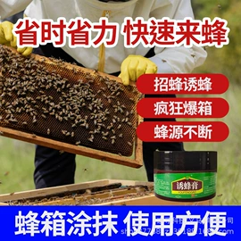 耳钉;其他饲料;香烟爆珠（不含尼古丁）