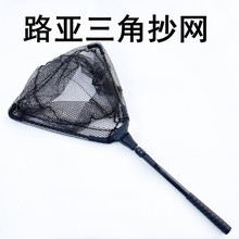 ���ǿ��ۯB���W�X�Ͻ����W���^�O������w���ֳ��W��~�W�����b