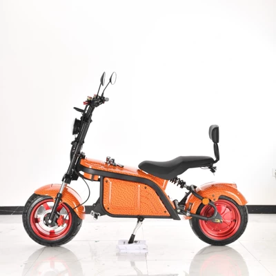 Elektrikli motosikletlər Harley Motorcycle Adult