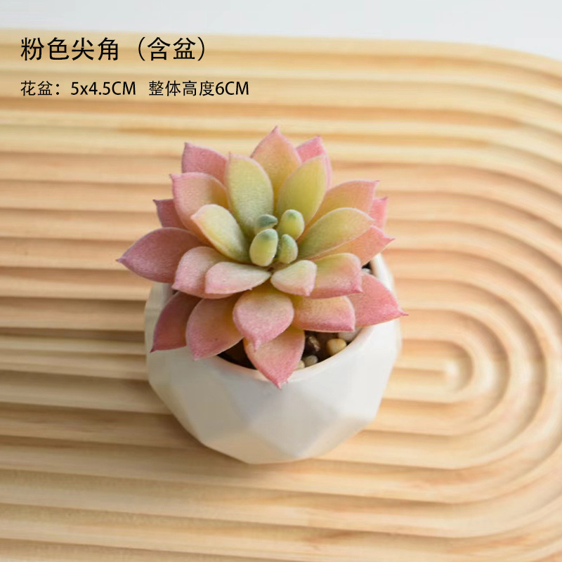 핑크 포인티드 로터스 + 세라믹 세면대