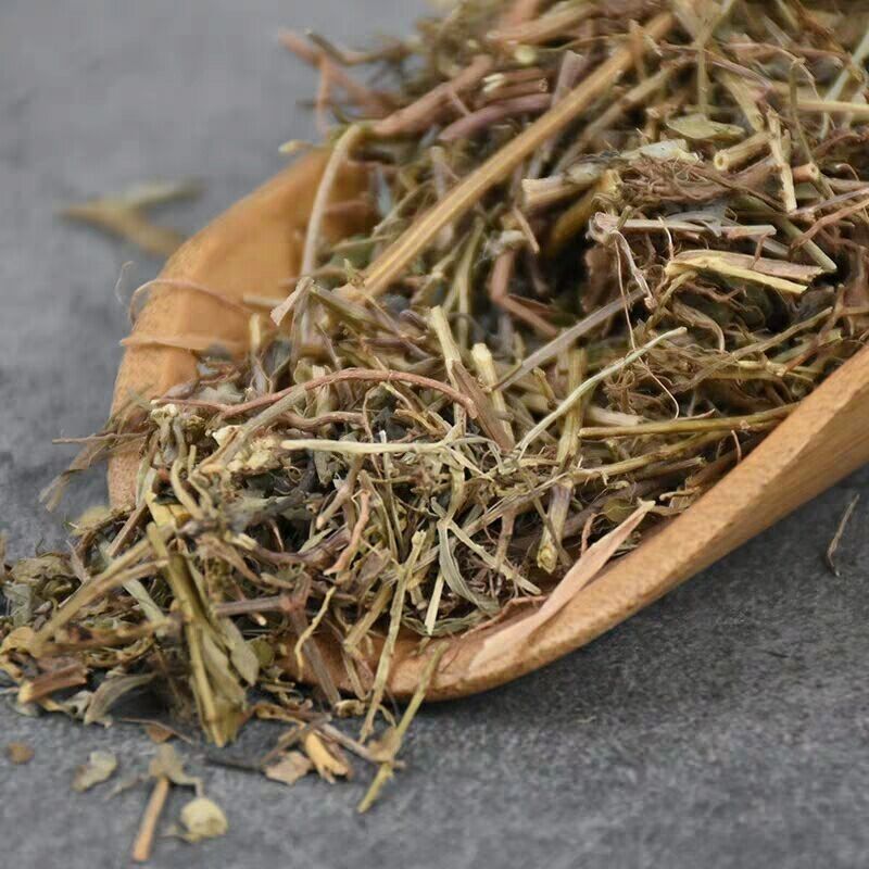 Yexiazhu Leaf 500g Dried Phyllanthus Urinaria Whole Herb Traditional TCM Herbal Tea Ingredient key features