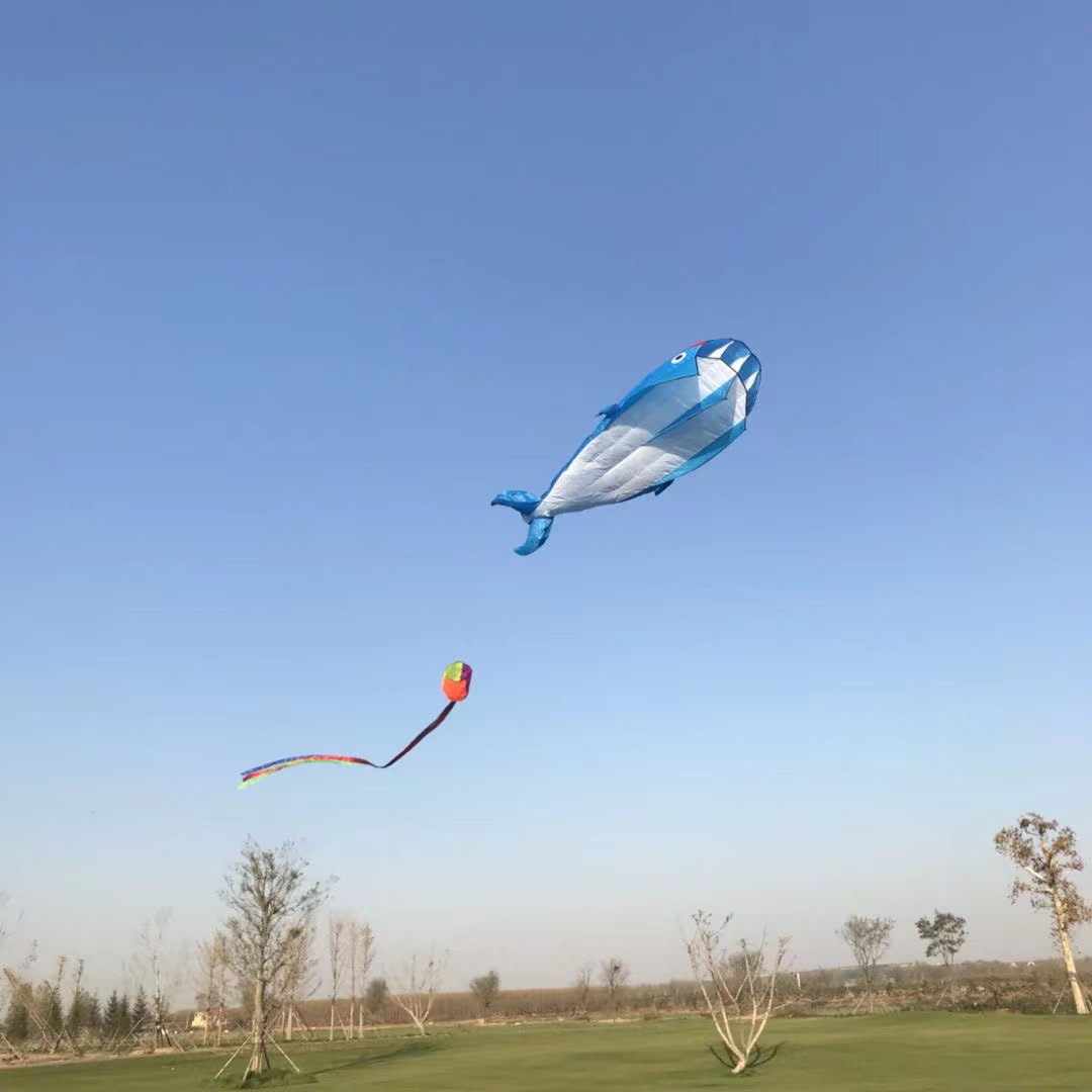 New Soft Body Big Whale Kite Adult Kite Children Kite Easy to Fly in Light Wind No Frame Manufacturer Wholesale Sales