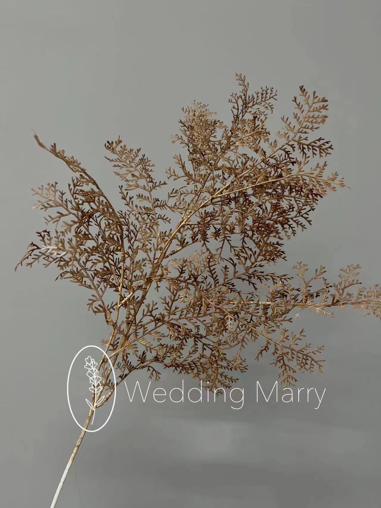 微信图片_20231202093745