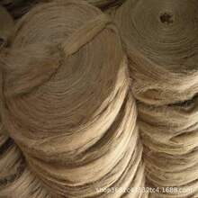 �S��z���w�S���������L�̿ɶ��h���鵶�S��z�����w�S