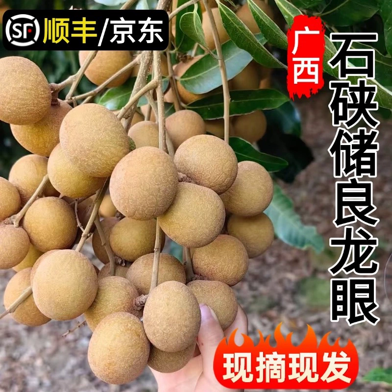 Свежий гуандунский лонган Гаочжоу из отобранных 2.5kg вековых деревьев с доставкой в ​​тот же день и бесплатной доставкой через SF Express