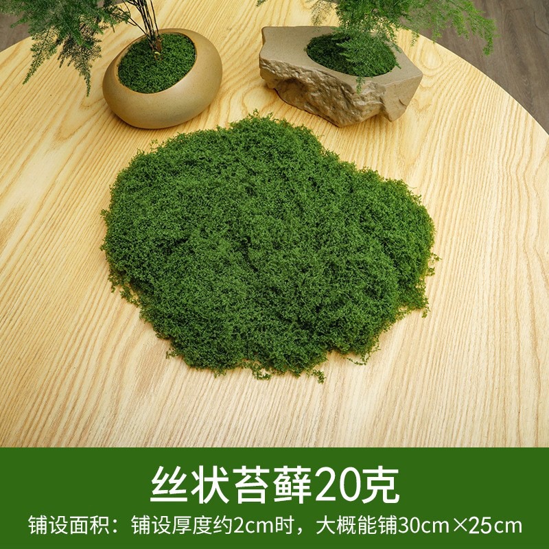 20g dark green silky moss