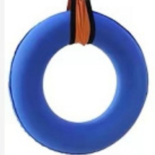 Inner Tube Swing