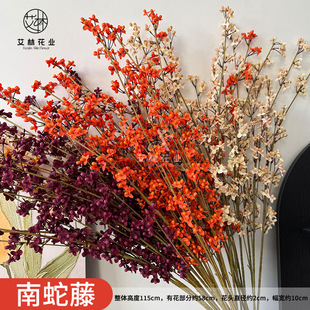 �����ٻ�c�tɫ��ӆ����ʽ�b��ĵ�픾Ƽtɫ��Y��ˇ�ٻ�����