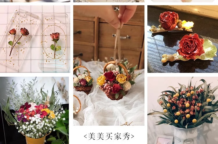 0c429b72-2f06-46bc-a92c-22c4d75b617d.jpe