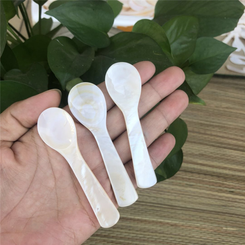 サザエスプーン貝殻子供食器調味料台所用品キャビアマスクスプーン無漆7cmマルチ仕様|undefined