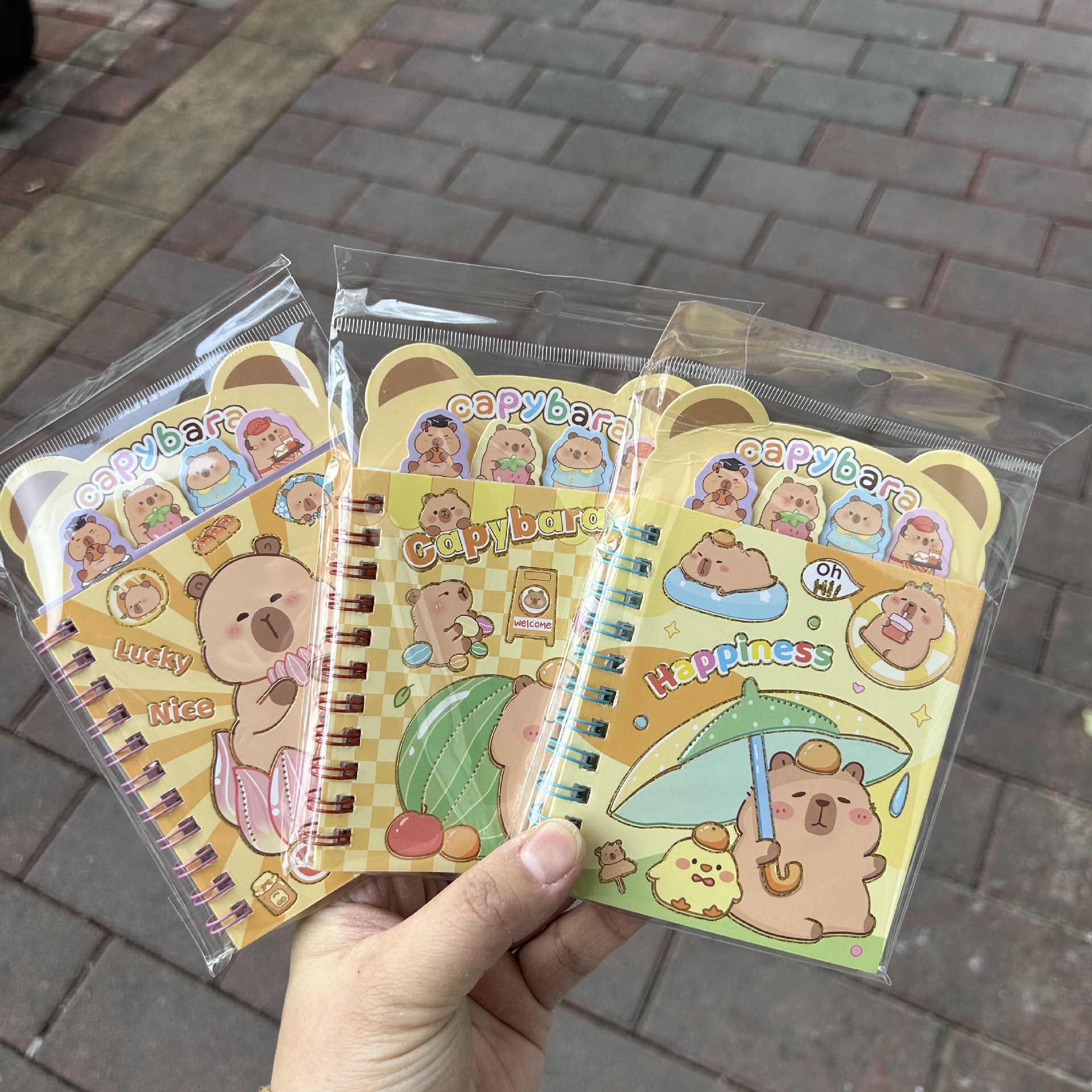 Sanrio hermosa clasificación de forma de bobina de dibujos animados mini bolsillo cuaderno regalo de jardín de infantes