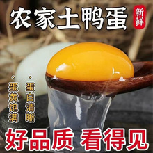 ���������������r��ɢ�B�������r���䃺ͯ�ЋD��ϠI�B���lʳ��