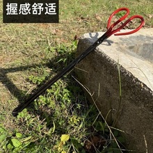 �Ӻ���ʽ���Q���������Aһ�w呴�����̿���Q̼�A�ӭh�l����Q���