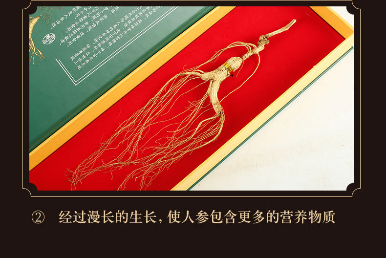 Changbai Mountain Forest Grown Ginseng Gift Box Whole Root for Cooking and Traditional Herbal Use key features