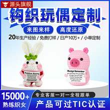 跨境亚马逊热卖手工毛线钩针玩具抱卡小猪草莓兔摆件钩织玩偶
