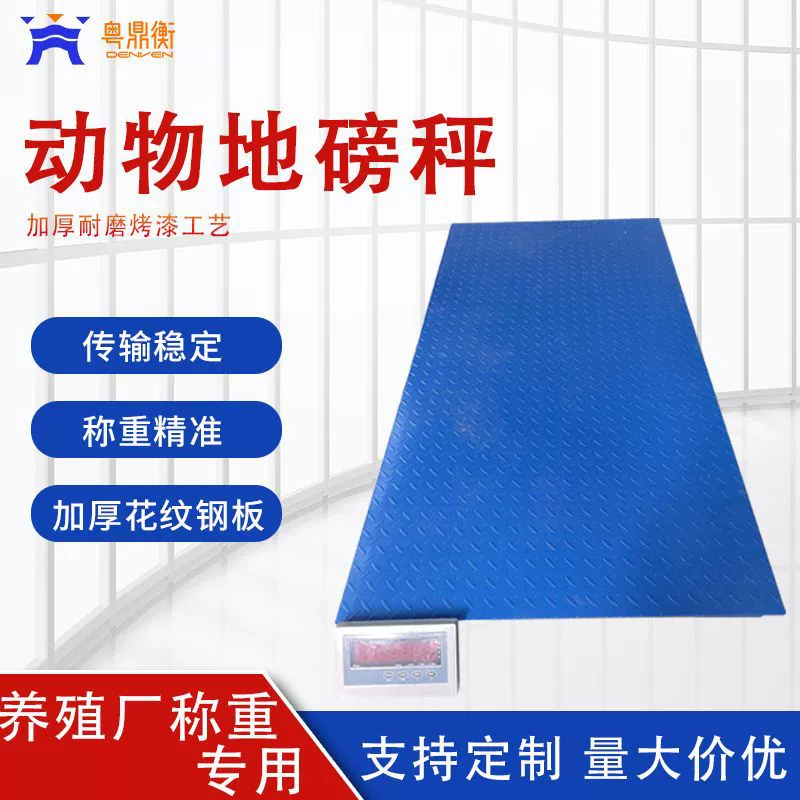 Масштаб пола распознавания уха системы распознавания уха масштаба РФИД пола животного веся с умным экраном касания