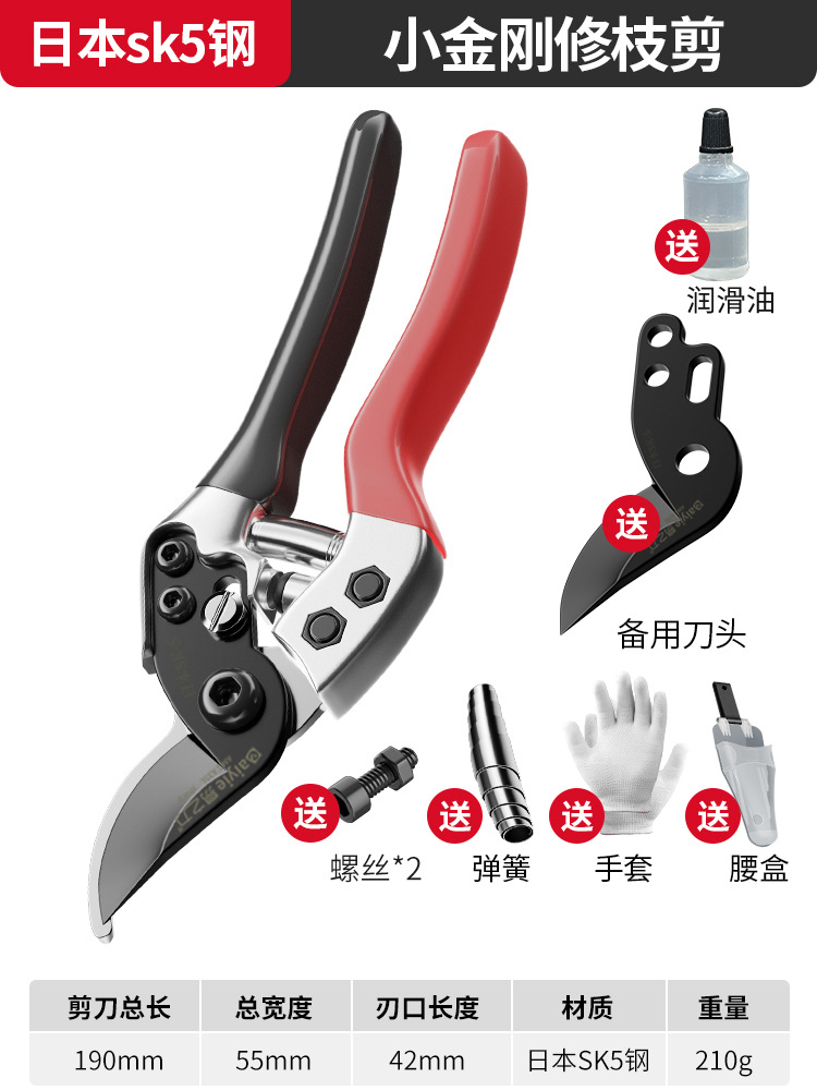 Tijeras de rama de fruta Yizili tijeras de jardín de primavera SK5 hoja de acero tijeras de jardinería doméstica tijeras de podar Bonsai de jardín al por mayor