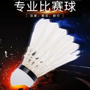 ��ë��12ֻ6ֻ�����Zë�����_�ѱ�ِӖ��10Ƭ���ZëƬ����ë