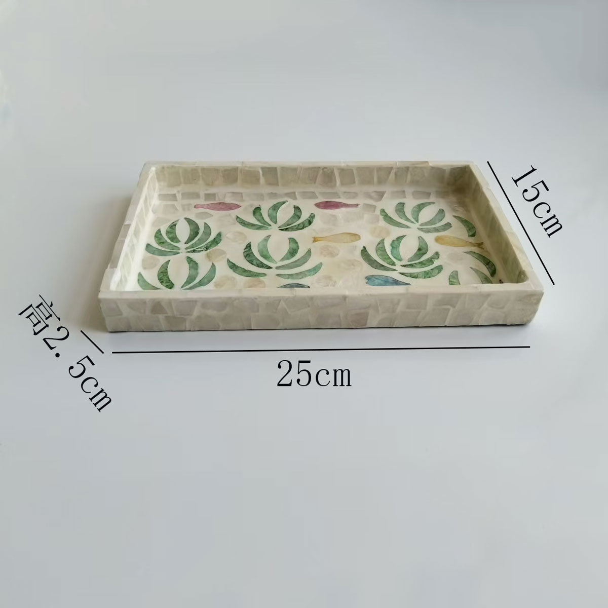 직사각형 풀 쉘 언더워터 월드 25*15*2.5cm