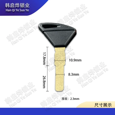 Suitable for Aprilia 1000/ Motorcycle Key
