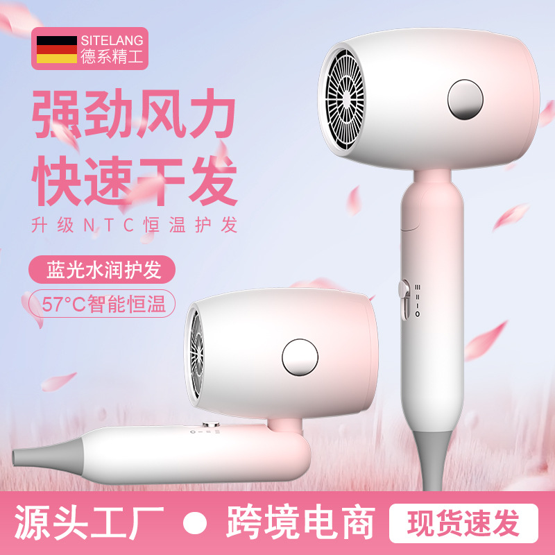 Folding Hair Dryer Household High-Power Dormitory Student Negative Ion Protection Hair Dryer High Wind Portable Cross-Border