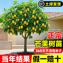 â���������â�ļ�â�ش�޽Ә���ͥԺ���Ե����ϱ����Nֲ