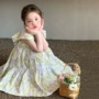 儿童飞袖新款小女孩公主裙