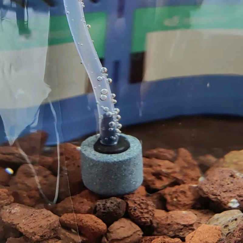 Аквариум для аквариума с кислородом