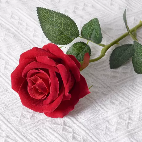 Large velvet rose light red
