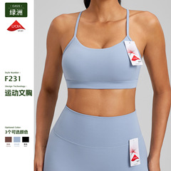 欧米の新型ライカ運動のブラジャーの裸感の通気性の大きいサイズのヨガのベストの胸は美背のフィットネス運動の下着を敷きます。