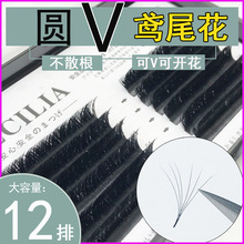 0.05鸢尾花假睫毛圆毛V型开花嫁接睫毛美睫店专用浓密柔软超水貂