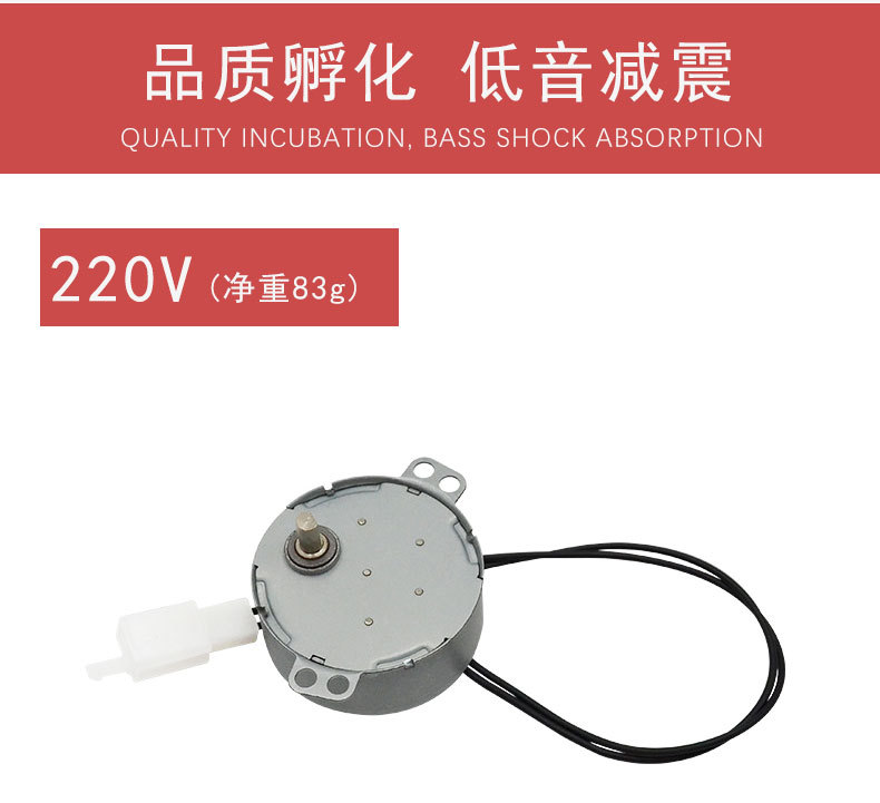 Mini motor 220V