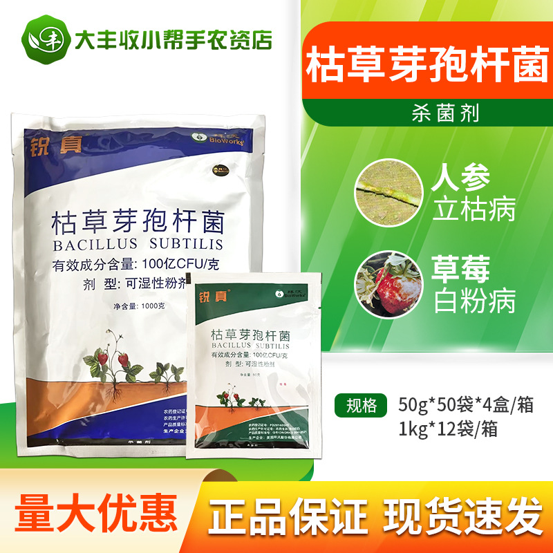拜沃锐真枯草芽孢杆菌人参立枯病草莓白粉病杀菌剂可湿性粉剂农药