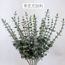 �ֻ��羳����ѷ������ֲ��������Ҷ��֧�ȼ���Ҷ�Ҿ�װ�����컨