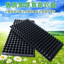 ����Ѩ�P�S�����l��ͥ�@ˇ�߲�ˮ������ѿ������P��ɫ������P