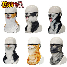 ����������Ħ��܇�T���������o�i����^�������⾀��ꖷ��L